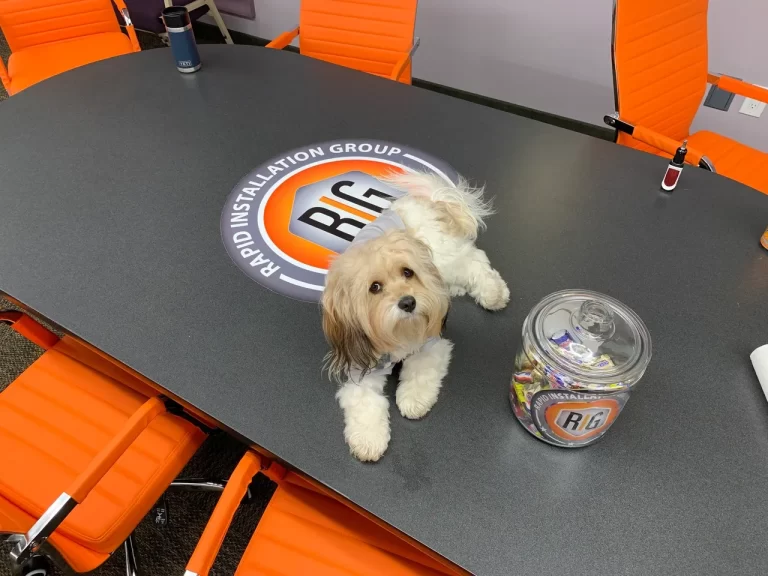 A dog sitting on top of a table next to a cup.